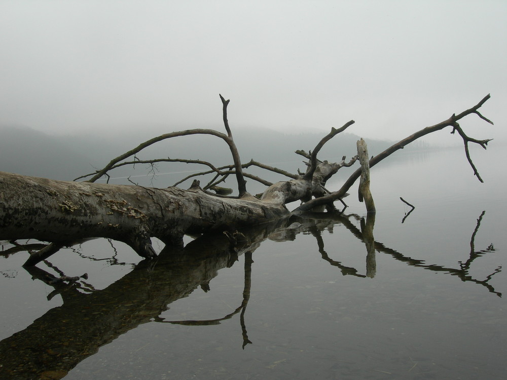 Laacher See