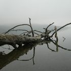 Laacher See