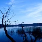 Laacher See