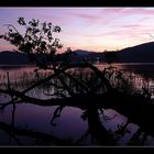 Laacher See