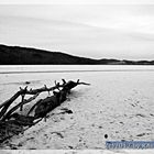 Laacher See