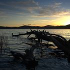 Laacher See im Abendlicht II