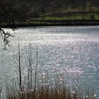 Laacher See im Frühling