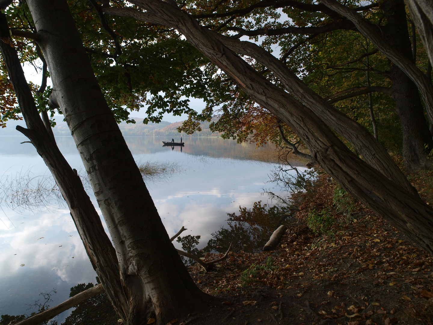 Laacher See im Herbst