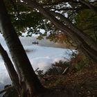 Laacher See im Herbst