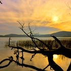 Laacher See im Herbst