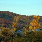 Laacher See im Herbst