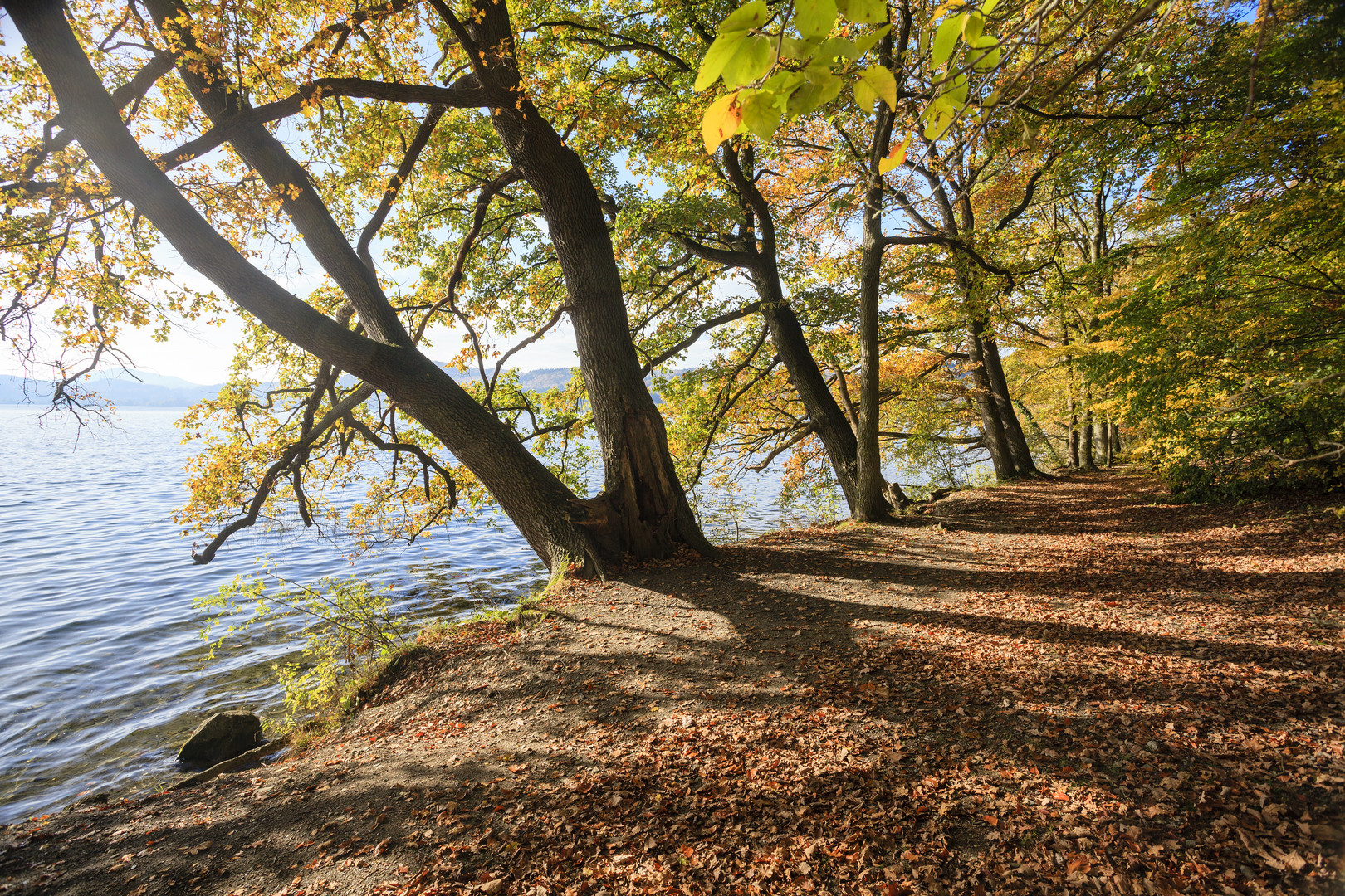 Laacher See im Herbst