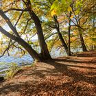 Laacher See im Herbst