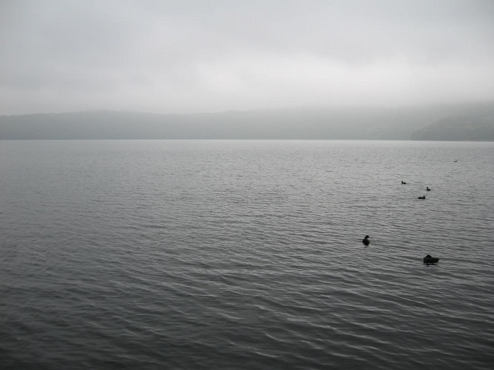 Laacher See im Herbstnebel