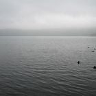 Laacher See im Herbstnebel