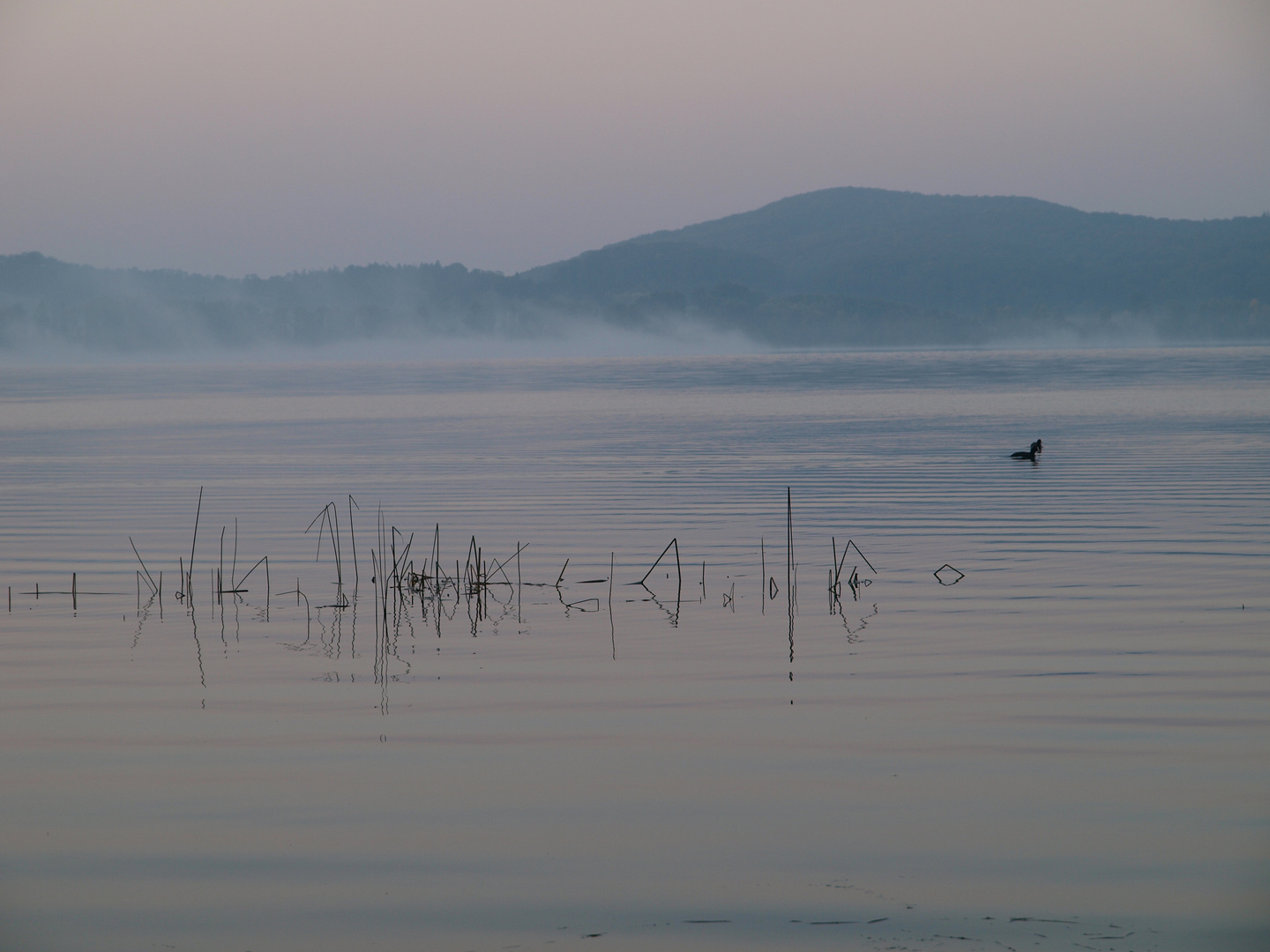 Laacher See morgens um 6