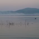 Laacher See morgens um 6