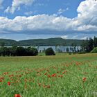 Laacher See Sommer 2010