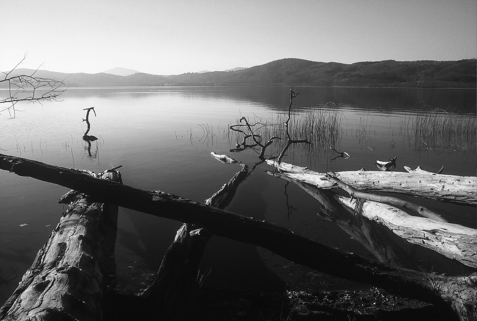 Laacher See S/W