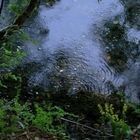 Laachersee Vulkaneifel