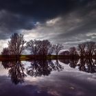 Laake an der Elbe