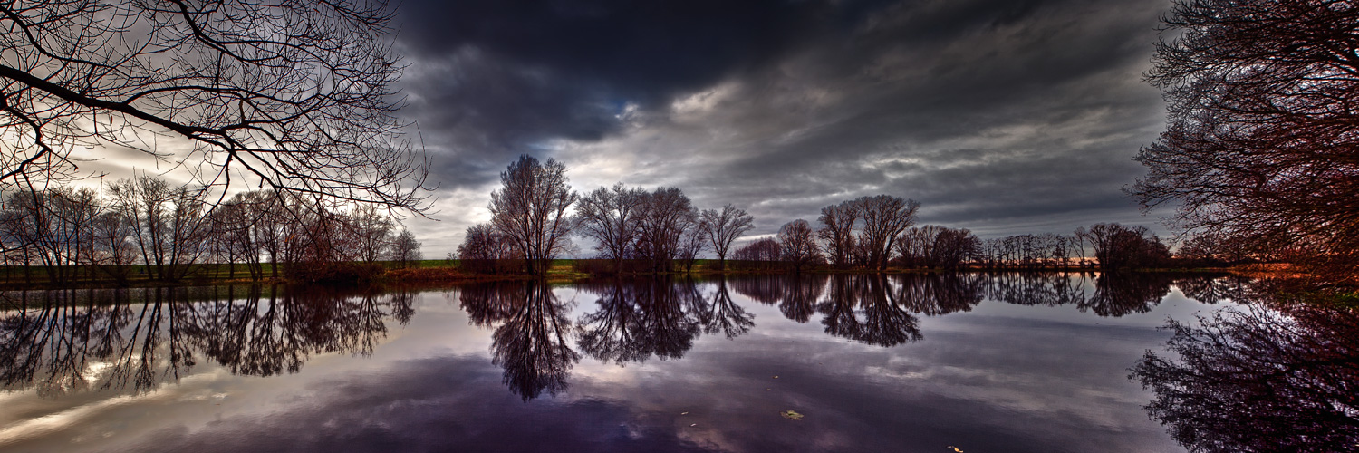 Laake an der Elbe