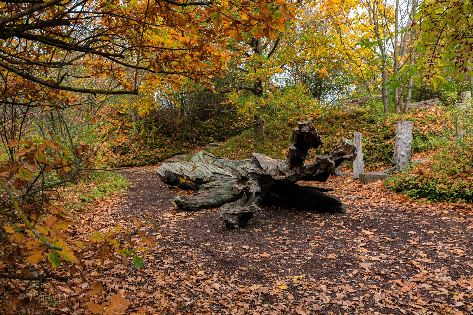 Laatzen/Hannover - Park der Sinne