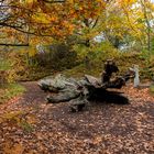 Laatzen/Hannover - Park der Sinne