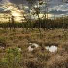 Laaver Moor