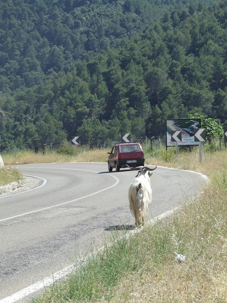 l'abbandono