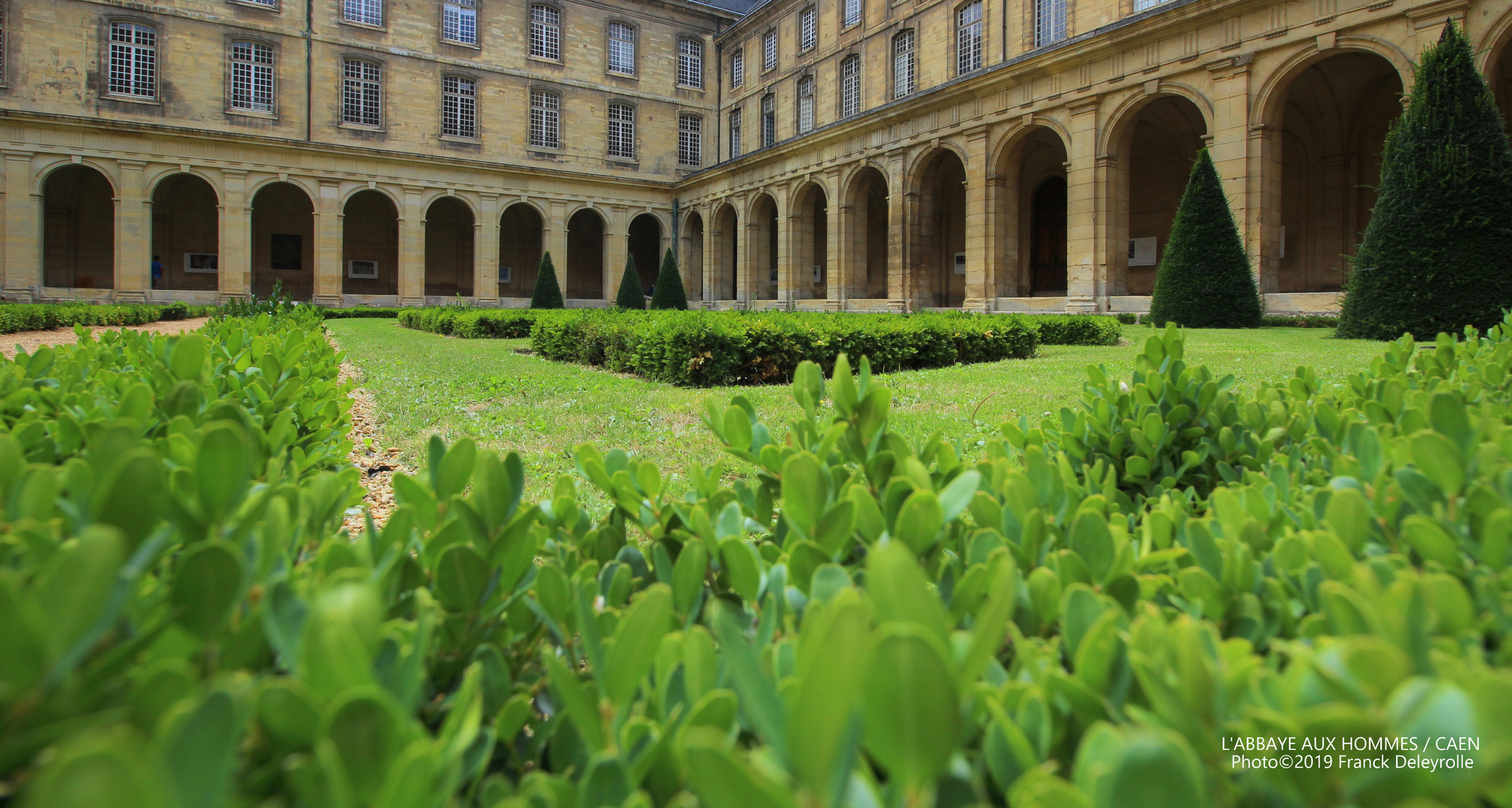 L'ABBAYE AUX HOMMES / Caen