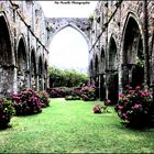 L'ABBAYE DE BEAUPORT A PAIMPOL