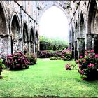 L'ABBAYE DE BEAUPORT A PAIMPOL