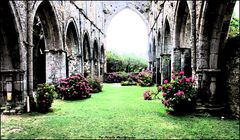 L'ABBAYE DE BEAUPORT A PAIMPOL