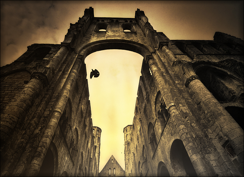 l'abbaye de Jumièges