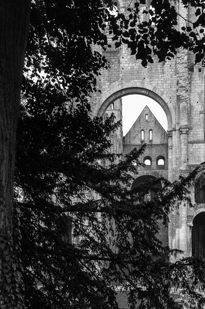 l'abbaye de Jumièges