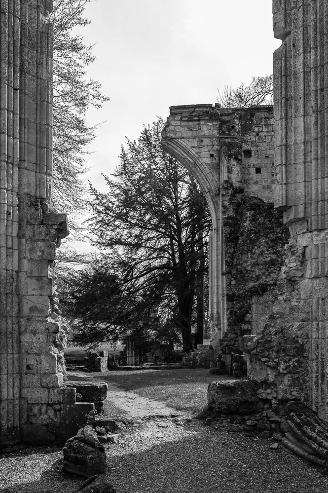 l'abbaye de Jumièges