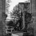 l'abbaye de Jumièges