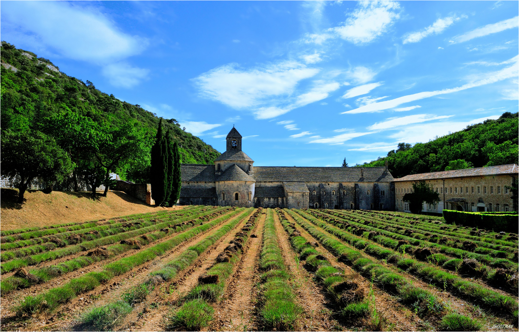 L'abbaye de Sénanque