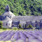 L'Abbaye de Sénanque