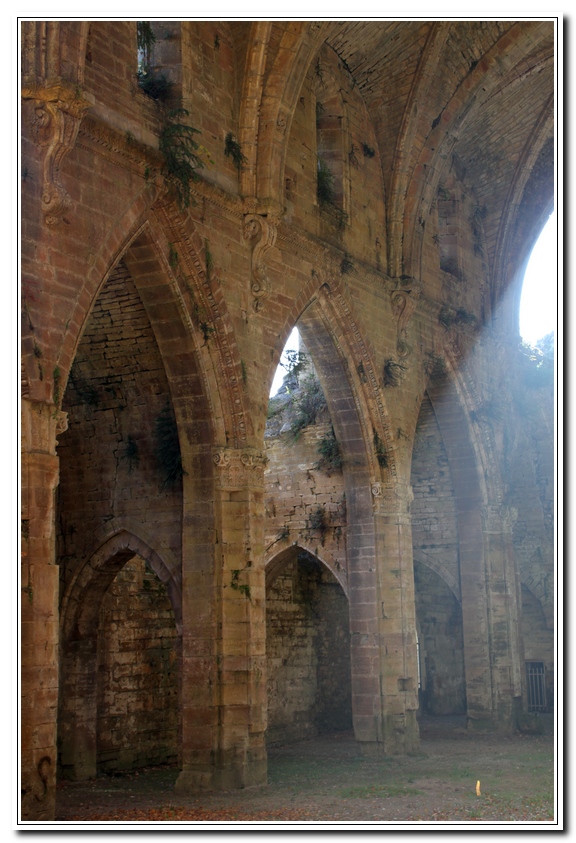 L'abbaye de TroisFontaines