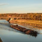 Labe im Elbeseitenkanal