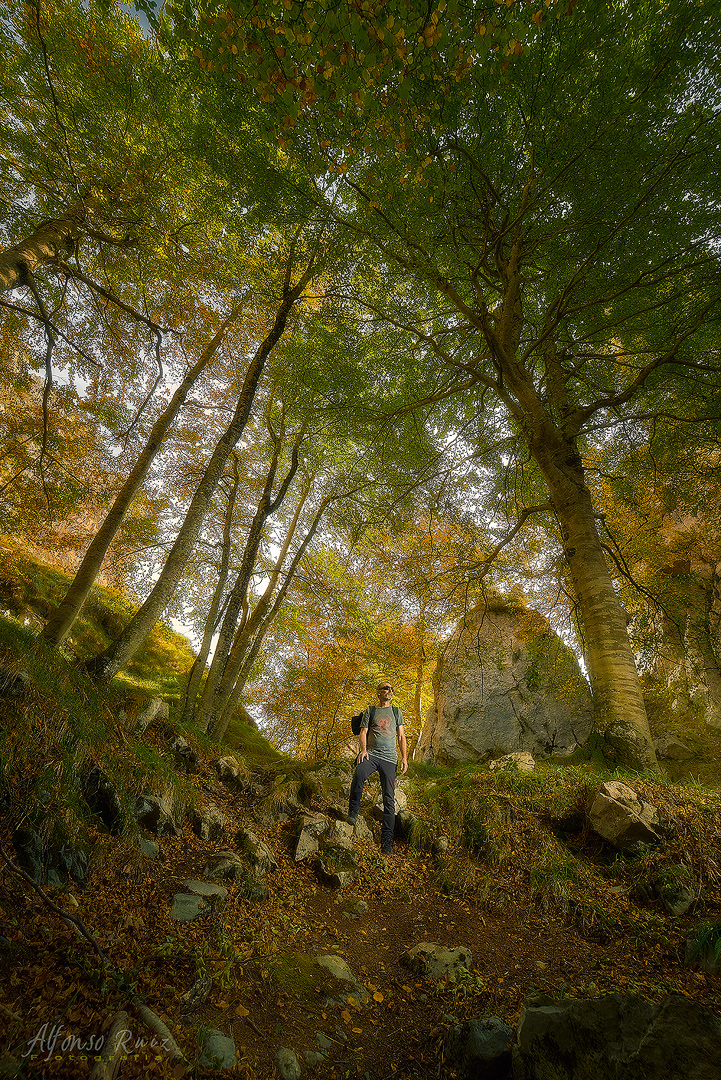 laberinto del Asón