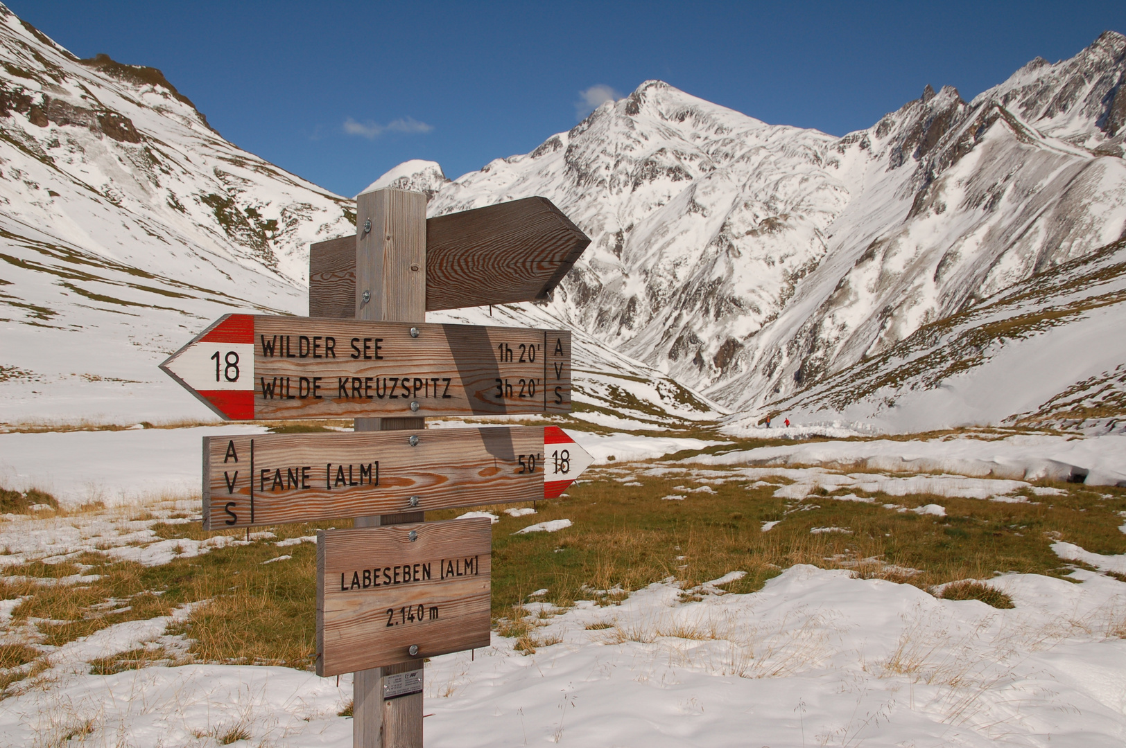 Labesebenalm (2.140 m)