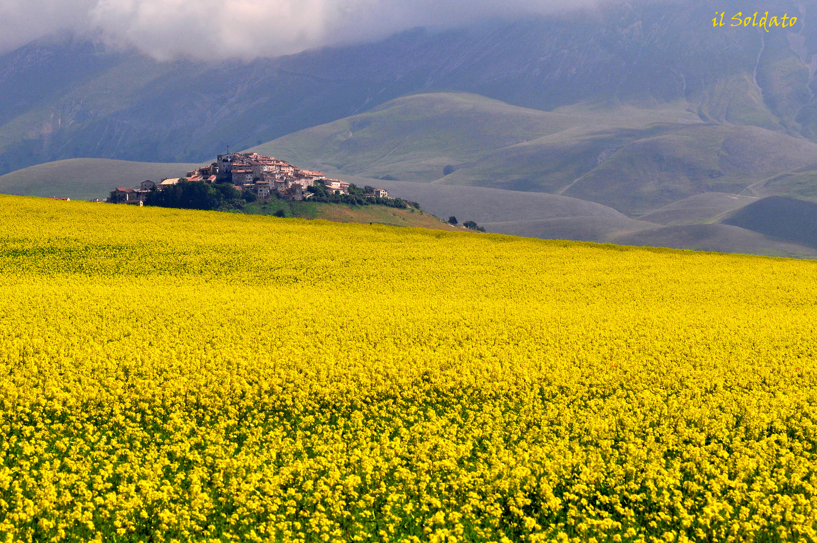 L'abito giallo