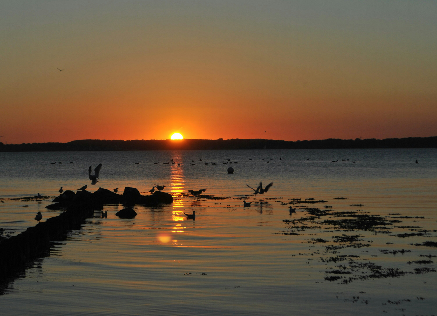 Laboe