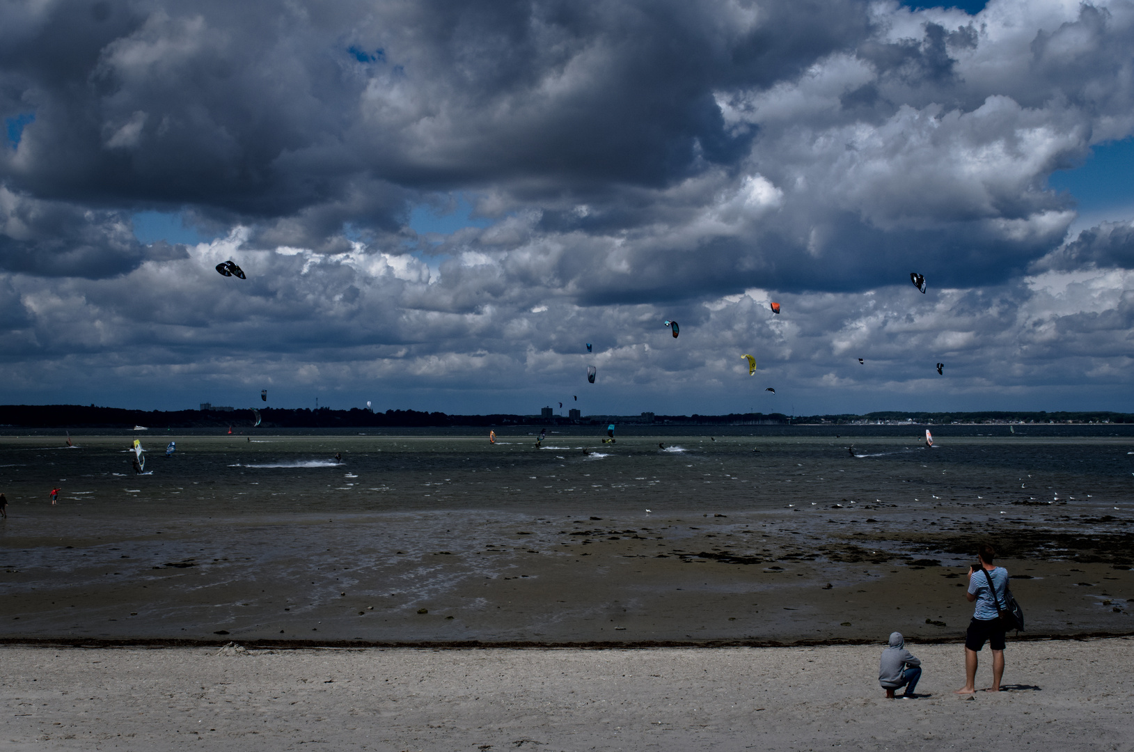 Laboe Butterflies