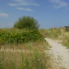 Laboe Dünenlandschaft