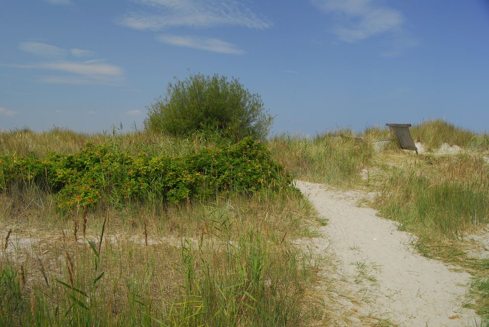 Laboe Dünenlandschaft