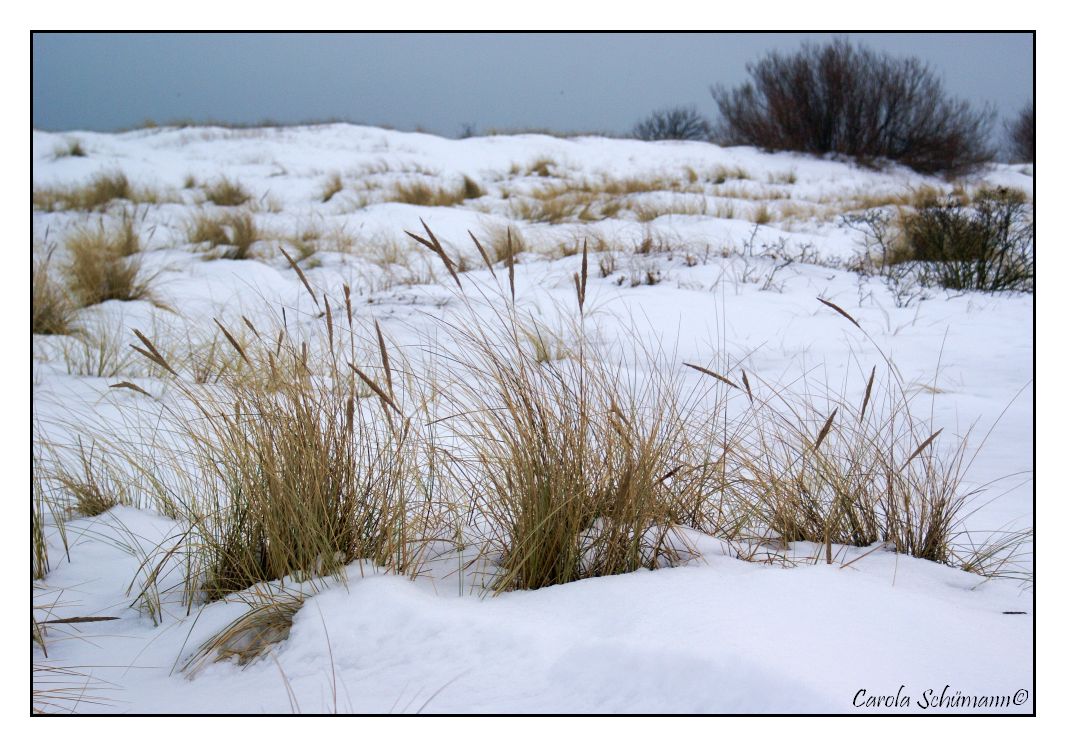 Laboe im Schnee...