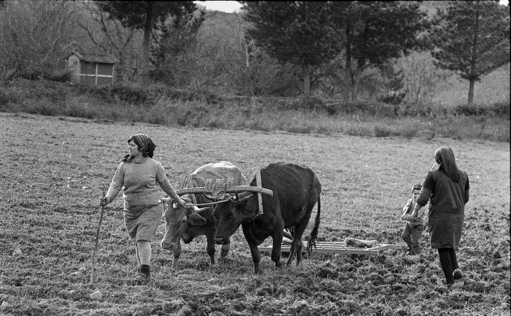 LABORES EL CAMPO