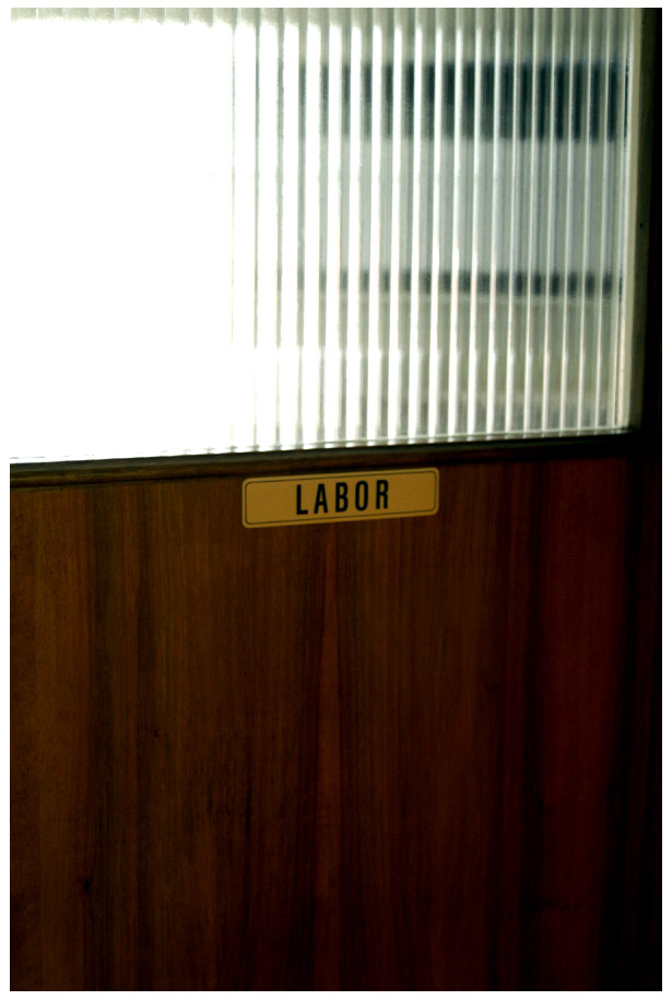 Labory_Door