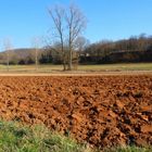 Labours de Printemps en Dordogne .