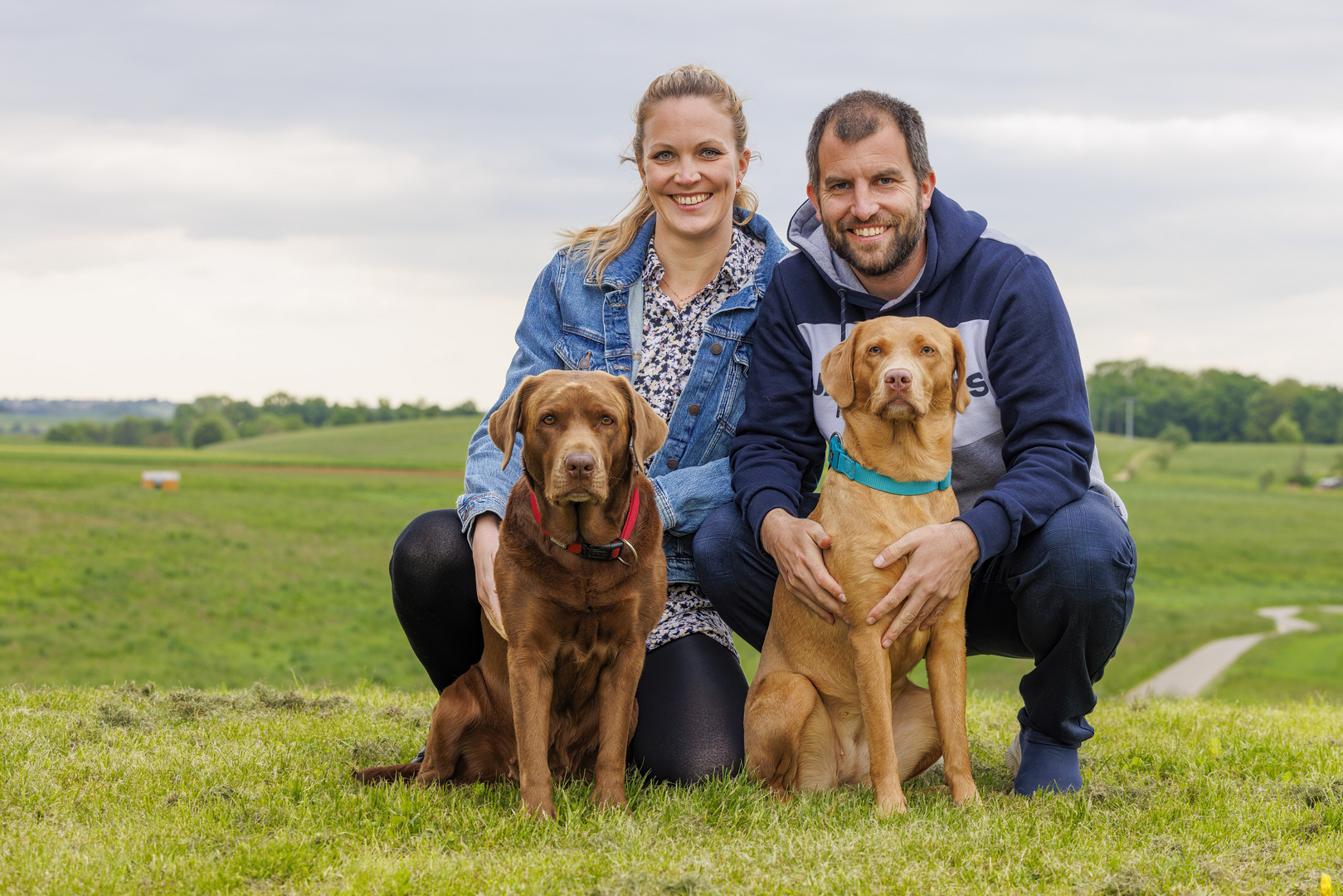 Labradorhündinnen wollen mit aufs Bild